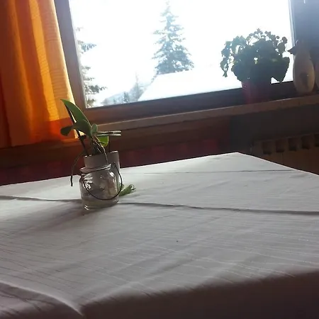 Frühstückspension Haus Michelitsch *