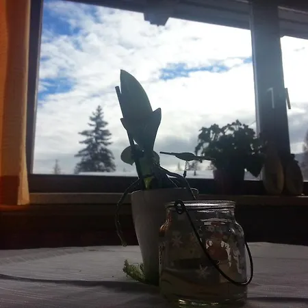 Haus Michelitsch Frühstückspension *
